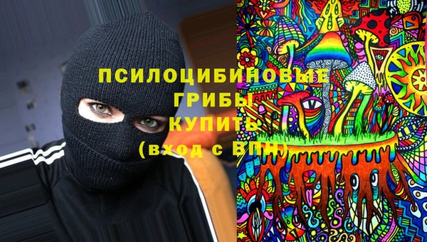 шишки Аркадак