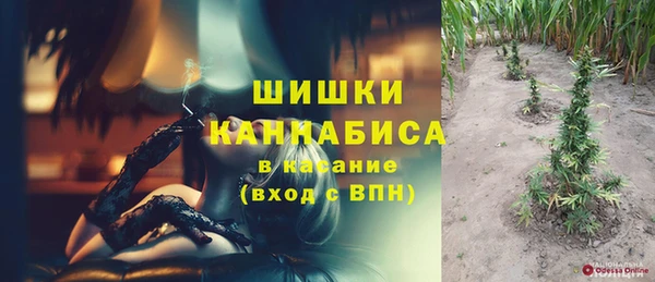 шишки Аркадак
