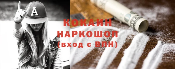 шишки Аркадак