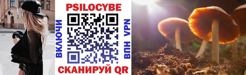 Псилоцибиновые грибы ЛСД  mega зеркало  Новый Оскол  где найти наркотики 